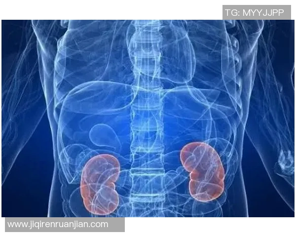 体育锻炼对缓解肾虚的作用及其科学依据探讨